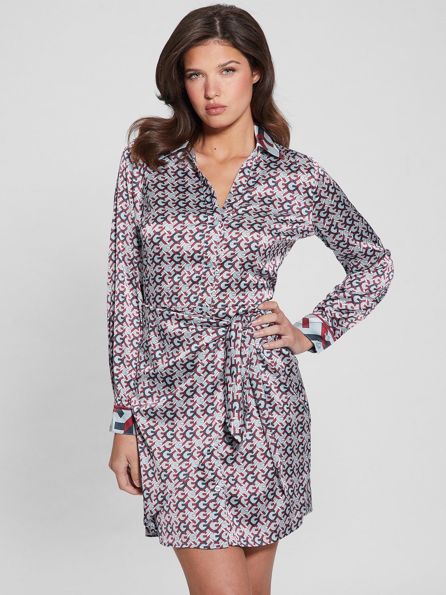 NEW LS ALYA PRINTED DRESS